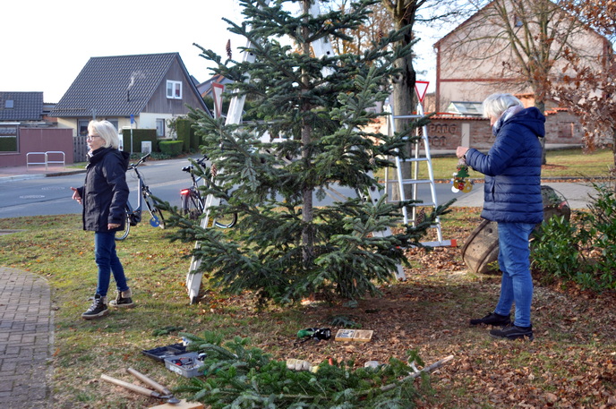 2024 11 26  Neuer Weihnachtsbaum JPG 3x