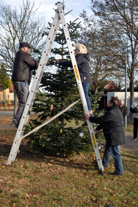 2024 11 26  Neuer Weihnachtsbaum JPG 5x