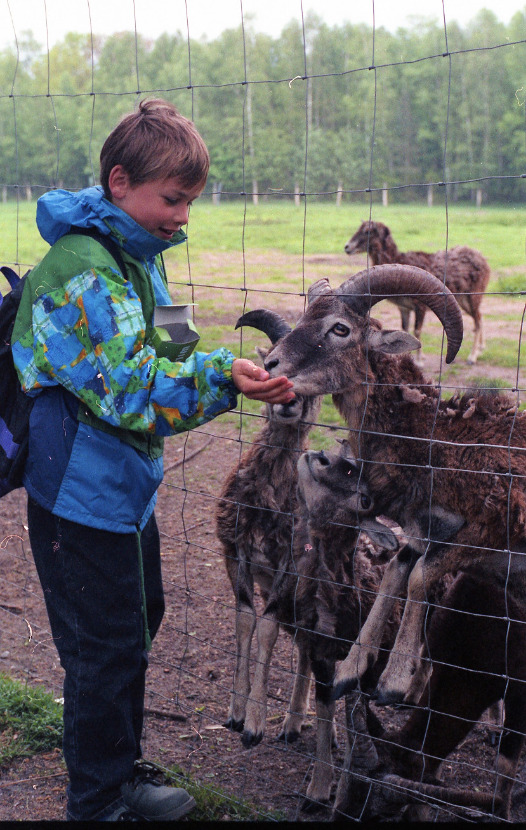 1995 06 10 Klassenfahrt Muden  Oertze014 2