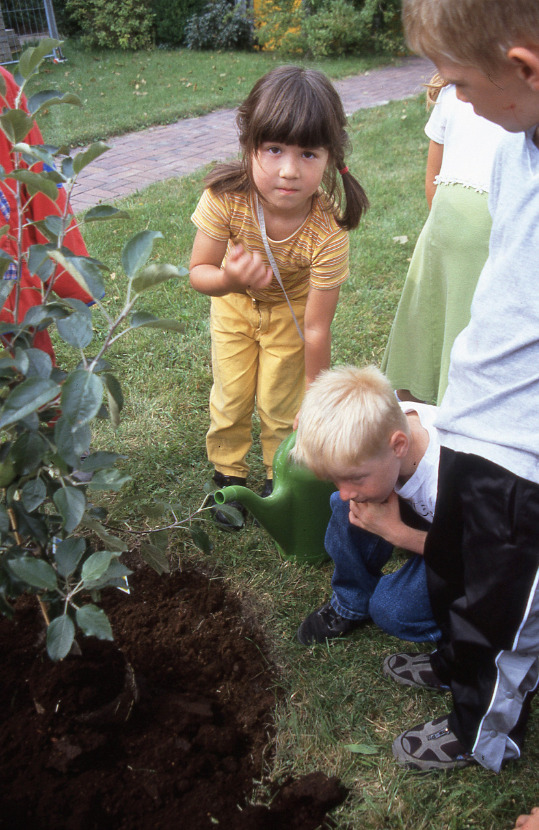 2000 Baum pflanzen006 2