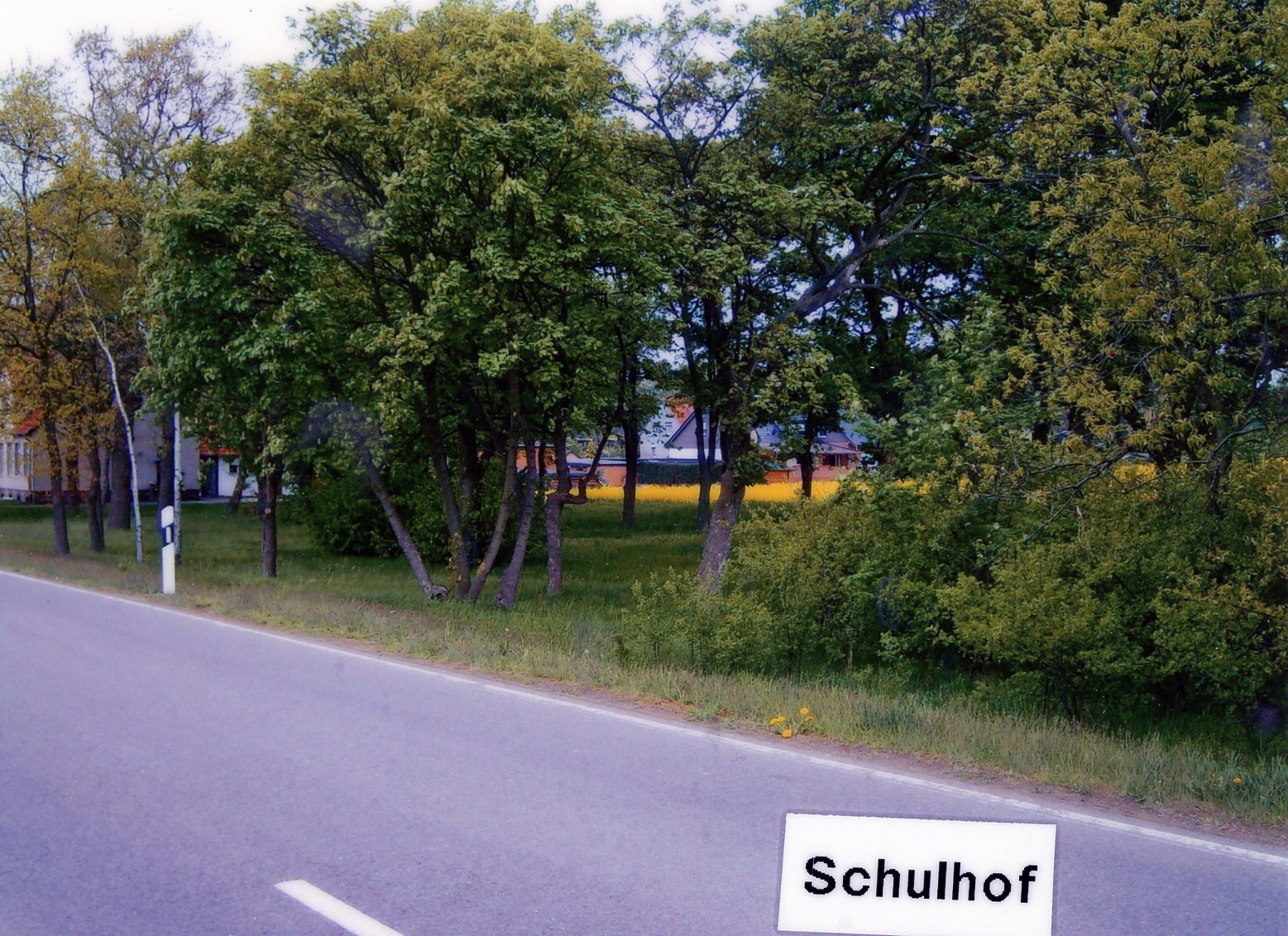 Dohrener Strasse Schule049