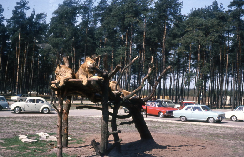 1972 Landjugend Fahrt ins Blaue Zuhause Mnchen 72 mit Finnen Grenze Zicherieusw001 5