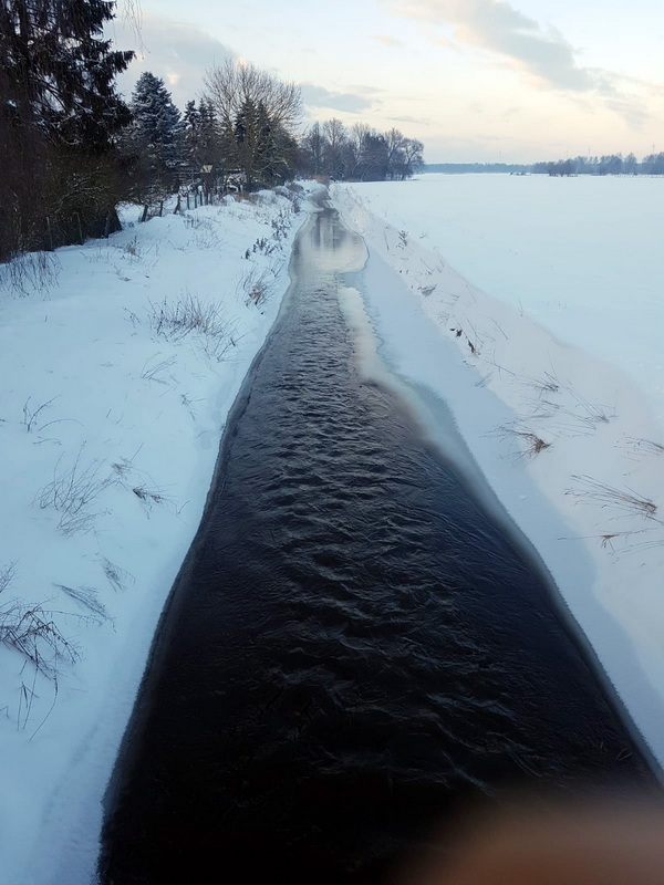 2021  Aller Januar bis  20 C.neuJPG