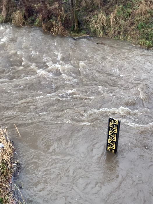 2023 Aller Hochwasser  5neu