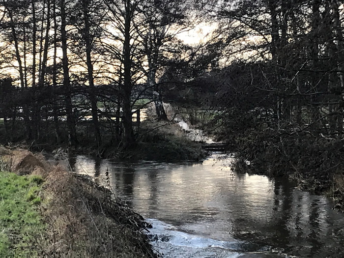 2023 Aller Hochwasser wasseer 4neu