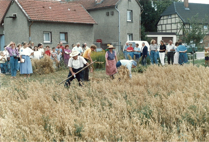 1989 Haferernte 2neu