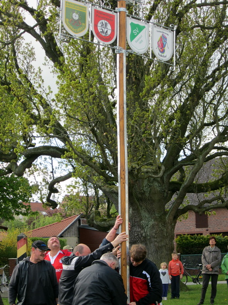 2015 Maibaum aufstellen 4. 1jpg