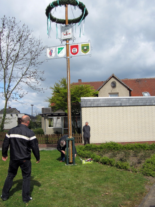 2015 Maibaum aufstellen 8 1