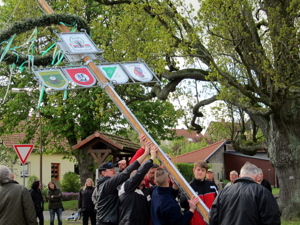 2017  Maibaum Aufbau 1
