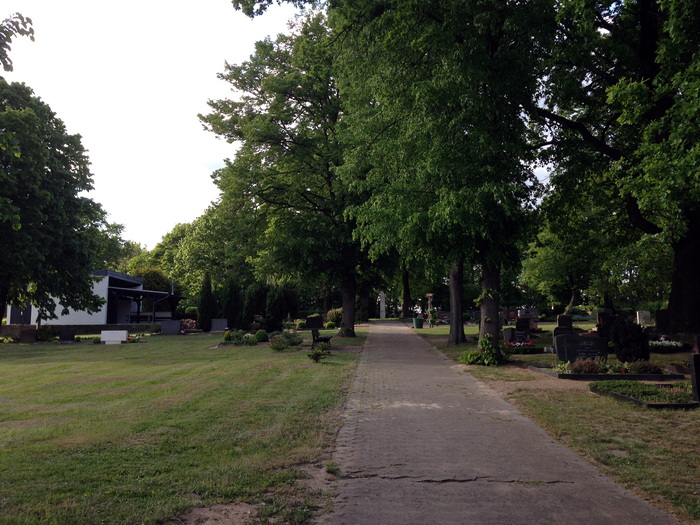 2016 Friedhof Saalsdorf 1neu