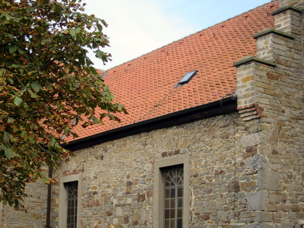 IMG 0641neu